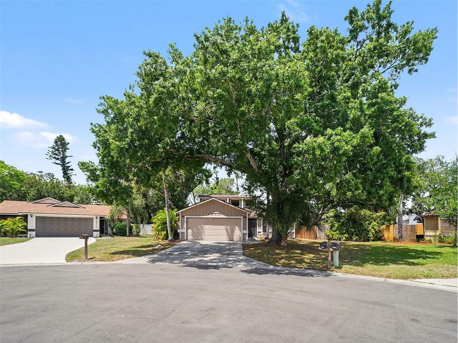 8211 Country Oaks Court Sarasota FL 34243 O6403207 image1