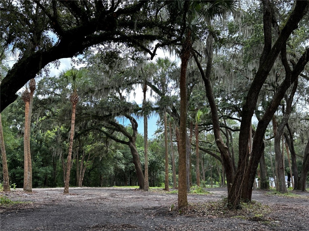 8211 Via Hermosa Street Sanford FL 32771 O6125163 image1