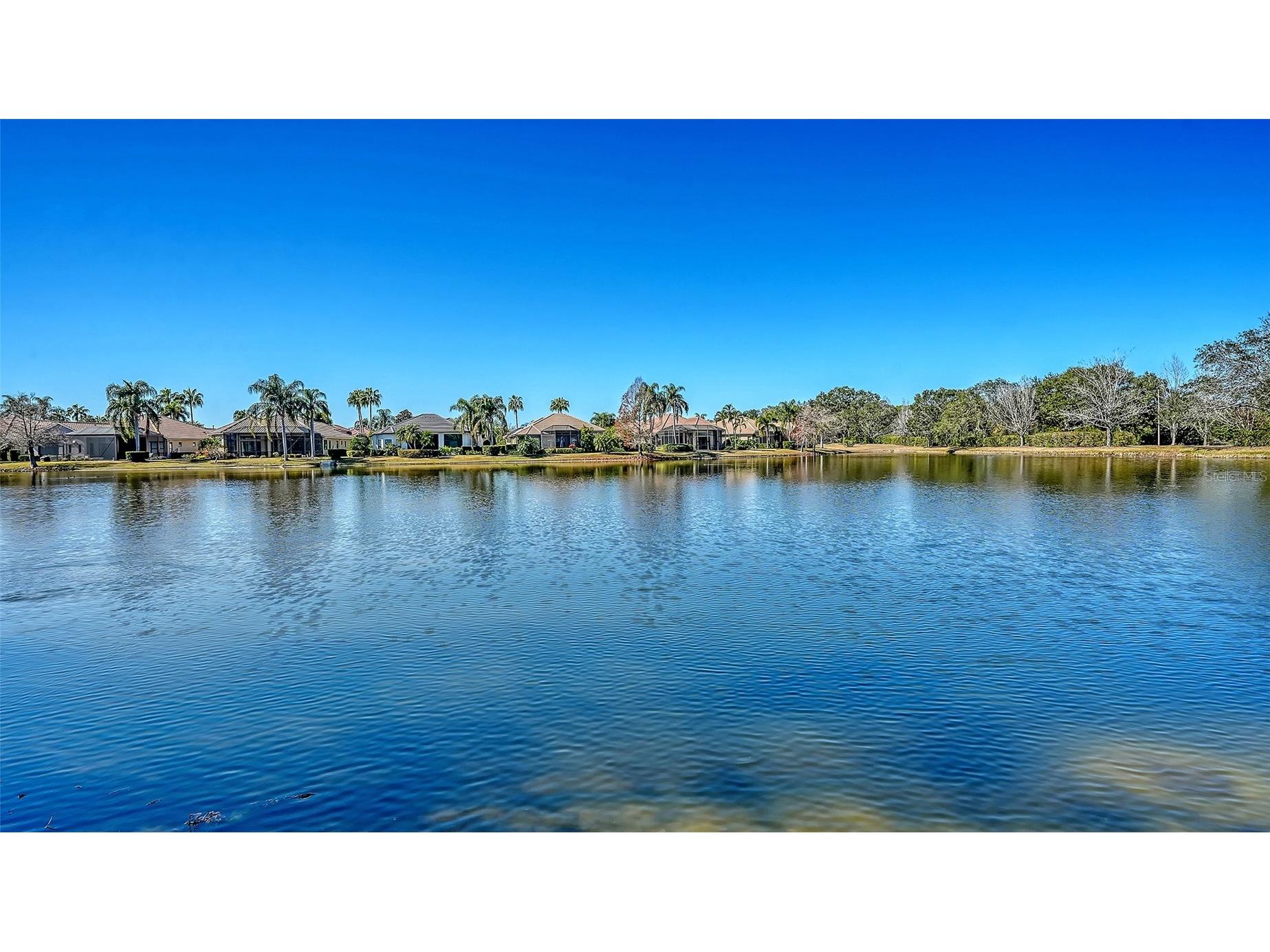 8212 Championship Court Lakewood Ranch FL 34202 A4681763 image53