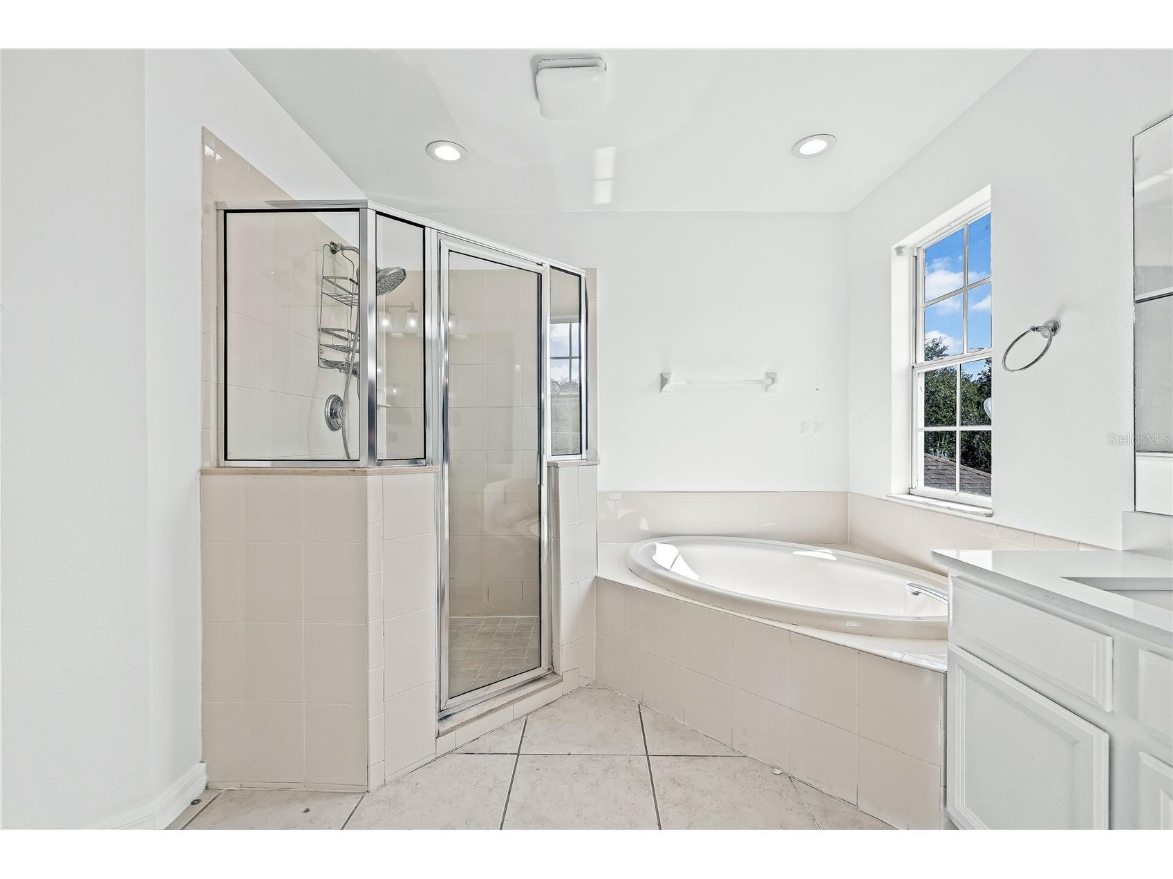 8212 Cypress Breeze Way Tampa FL 33647 TB8485724 image38