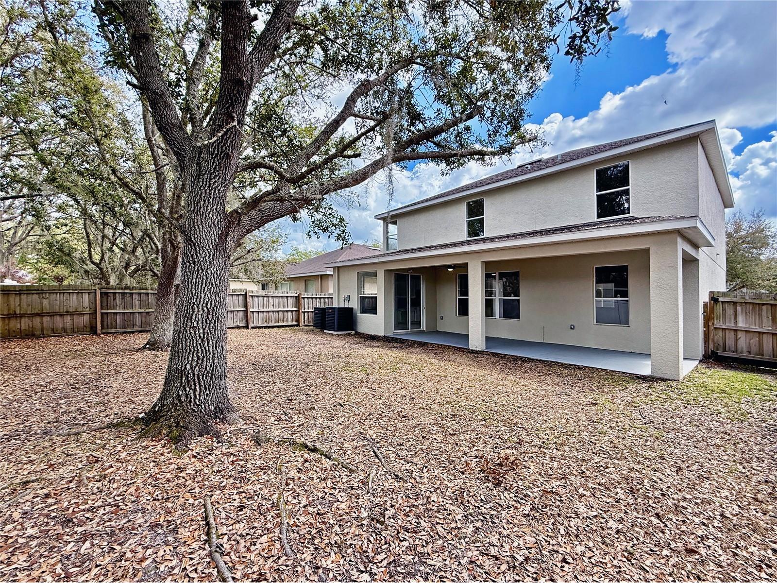 8212 Cypress Breeze Way Tampa FL 33647 TB8485724 image51