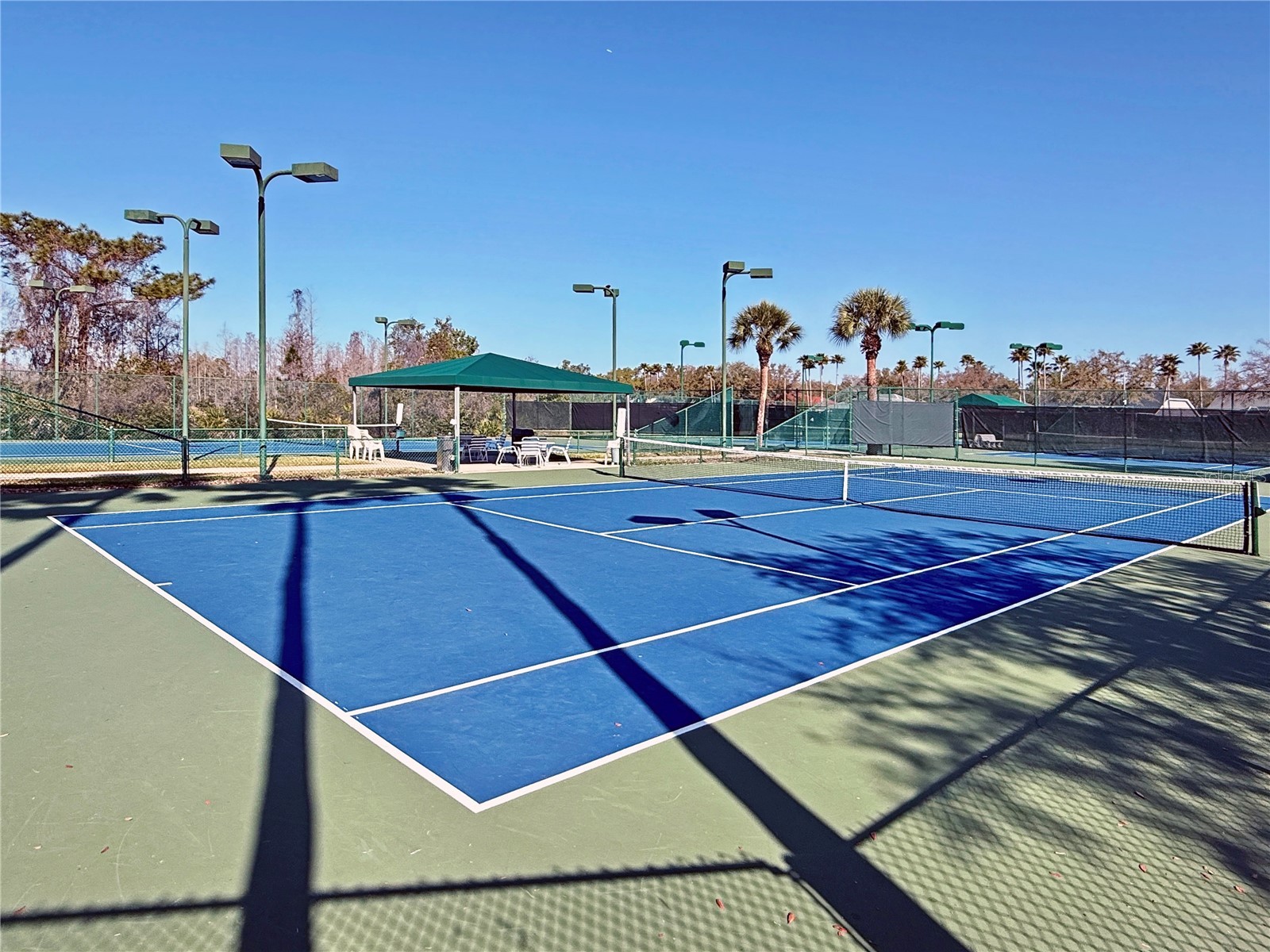 8212 Cypress Breeze Way Tampa FL 33647 TB8485724 image69