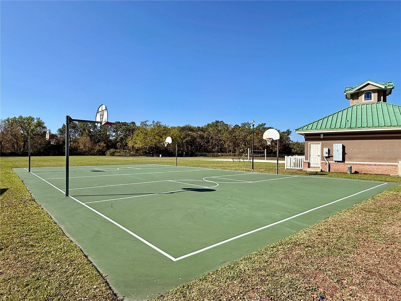 8212 Cypress Breeze Way Tampa FL 33647 TB8485724 image71