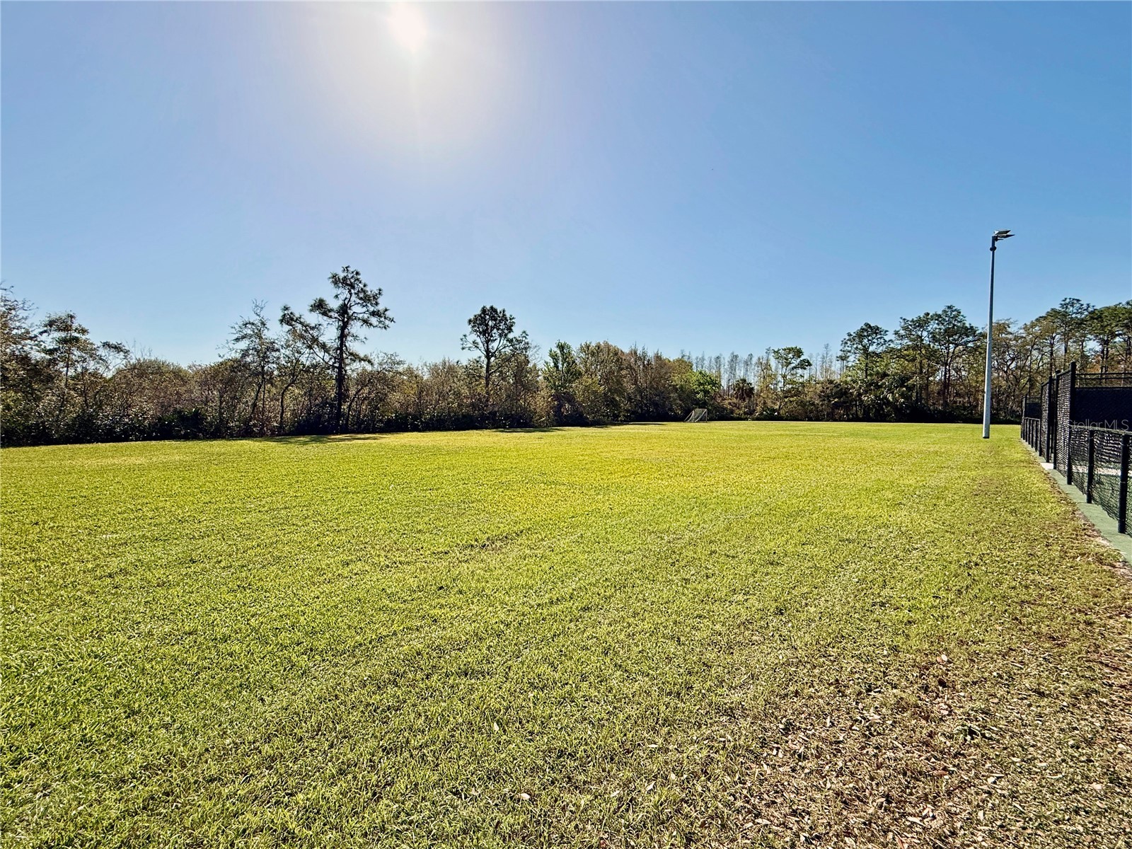 8212 Cypress Breeze Way Tampa FL 33647 TB8485724 image74