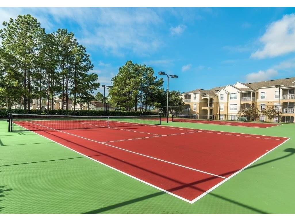 8212 Fan Palm Way Kissimmee FL 34747 S5138018 image35