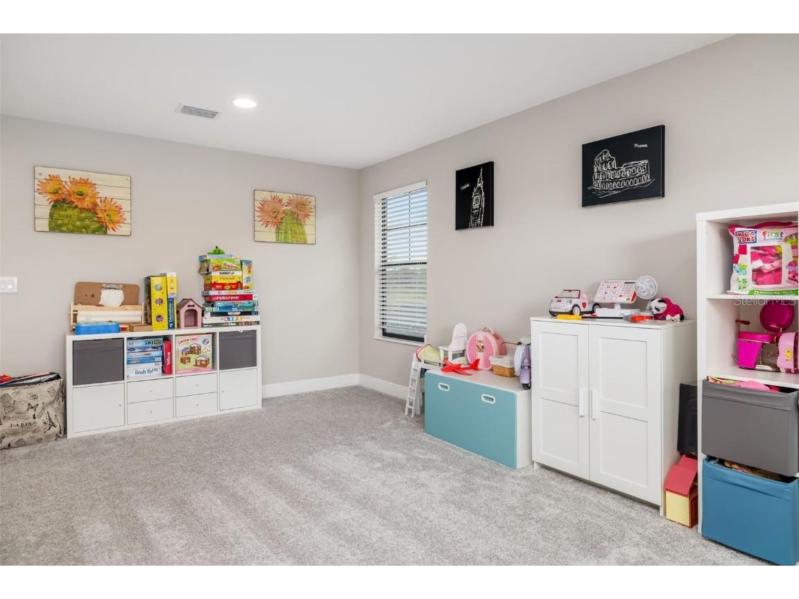 8213 Carrhill Place Parrish FL 34219 TB8434833 image44