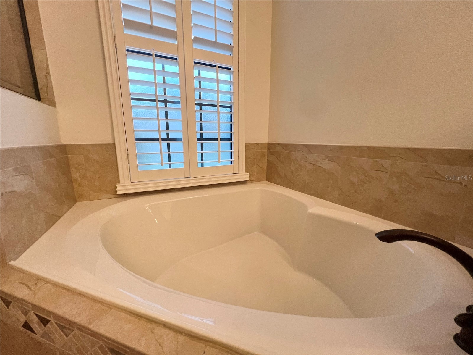 8213 Prestbury Drive Orlando FL 32832 O6404273 image26