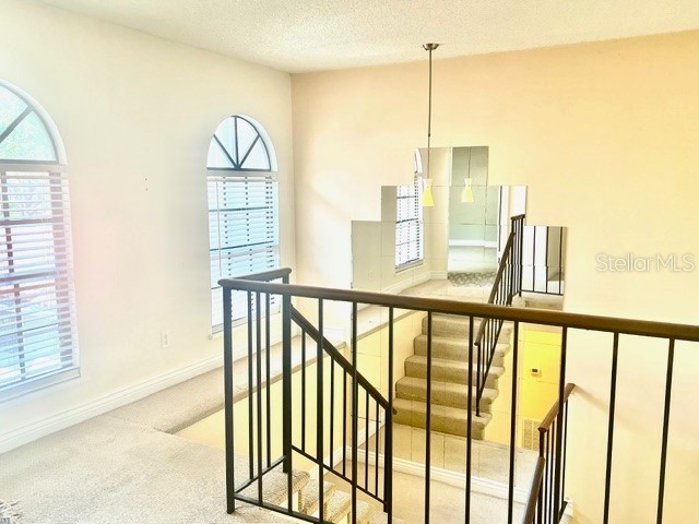 8214 Ambrose Cove Way Orlando FL 32819 O6357956 image15