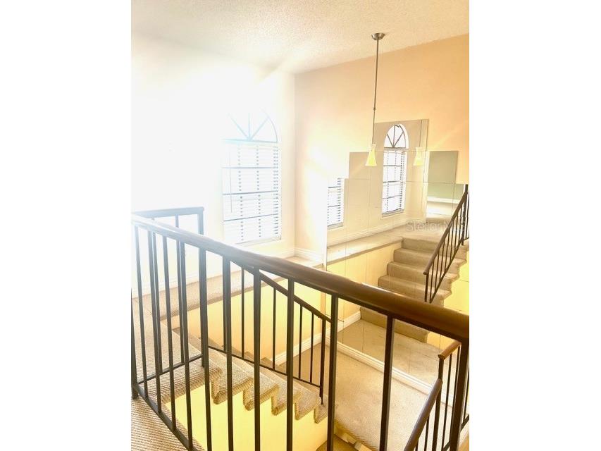 8214 Ambrose Cove Way Orlando FL 32819 O6357956 image24