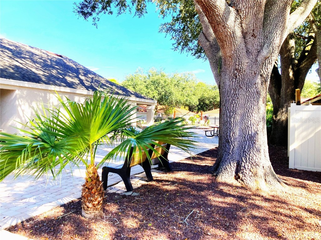 8214 Ambrose Cove Way Orlando FL 32819 O6357956 image41