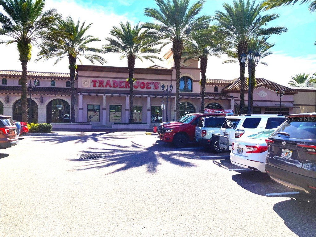 8214 Ambrose Cove Way Orlando FL 32819 O6357956 image43