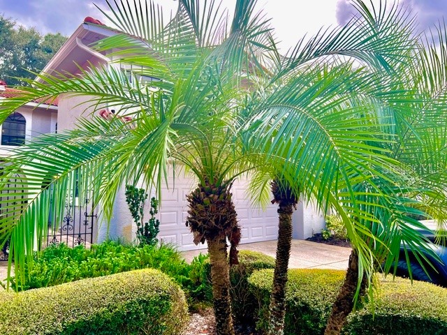 8214 Ambrose Cove Way Orlando FL 32819 O6357956 image9