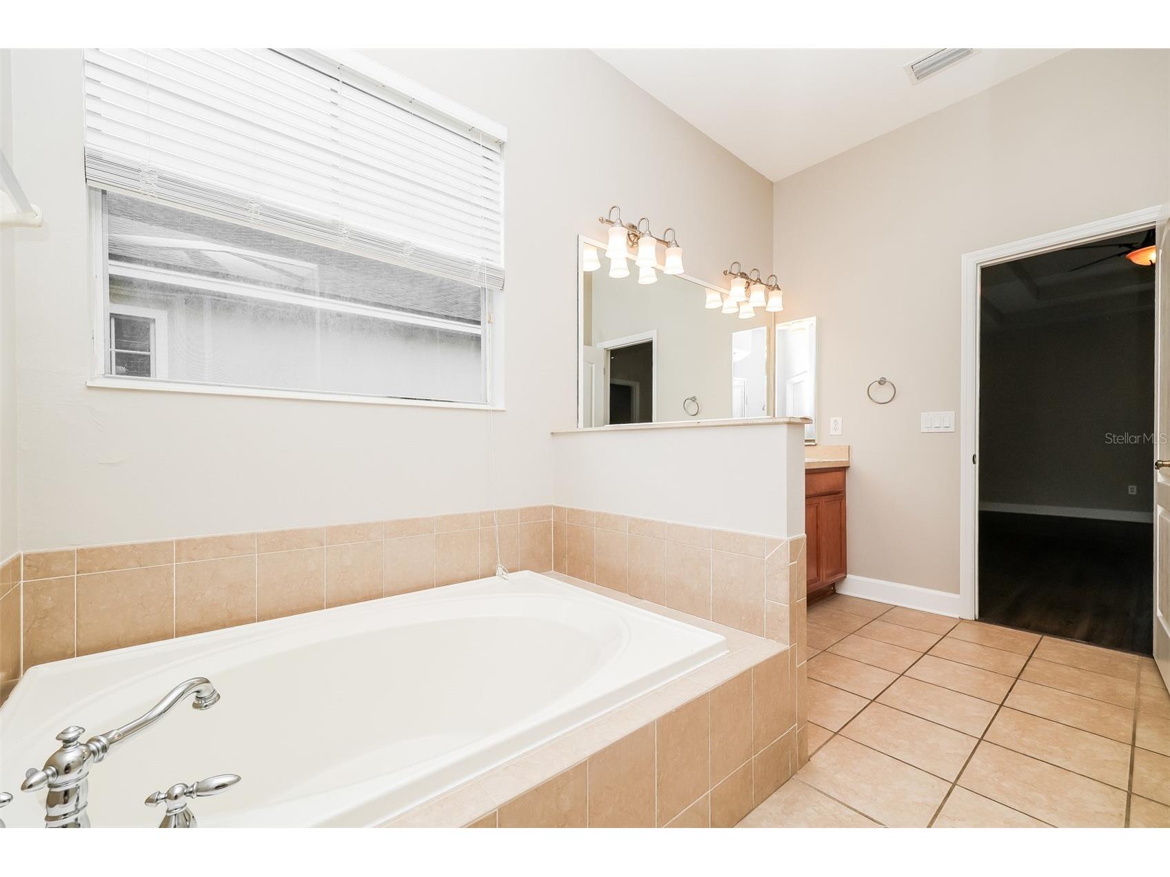 8214 Lagerfeld Drive Land O Lakes FL 34637 TB8485924 image17