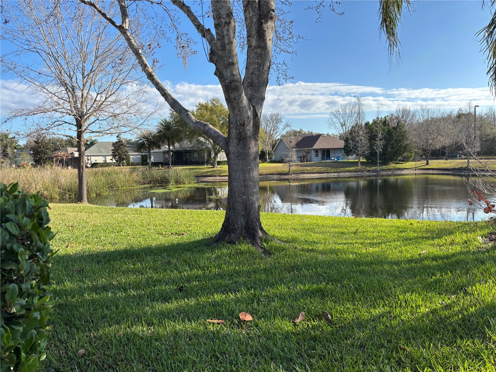 8214 Lagerfeld Drive Land O Lakes FL 34637 TB8485924 image2