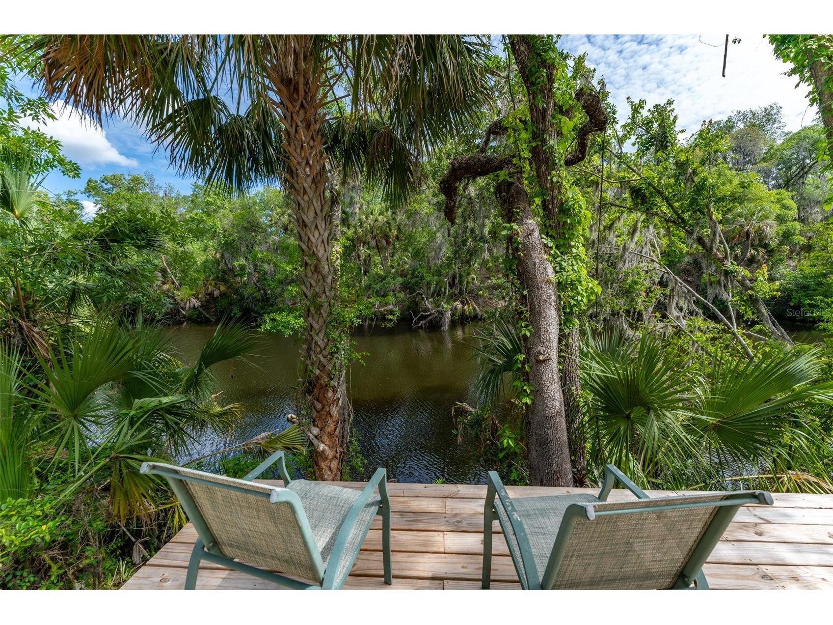 8214 Revels Road Riverview FL 33569 - ALAFIA RIVER TB8497945 image2