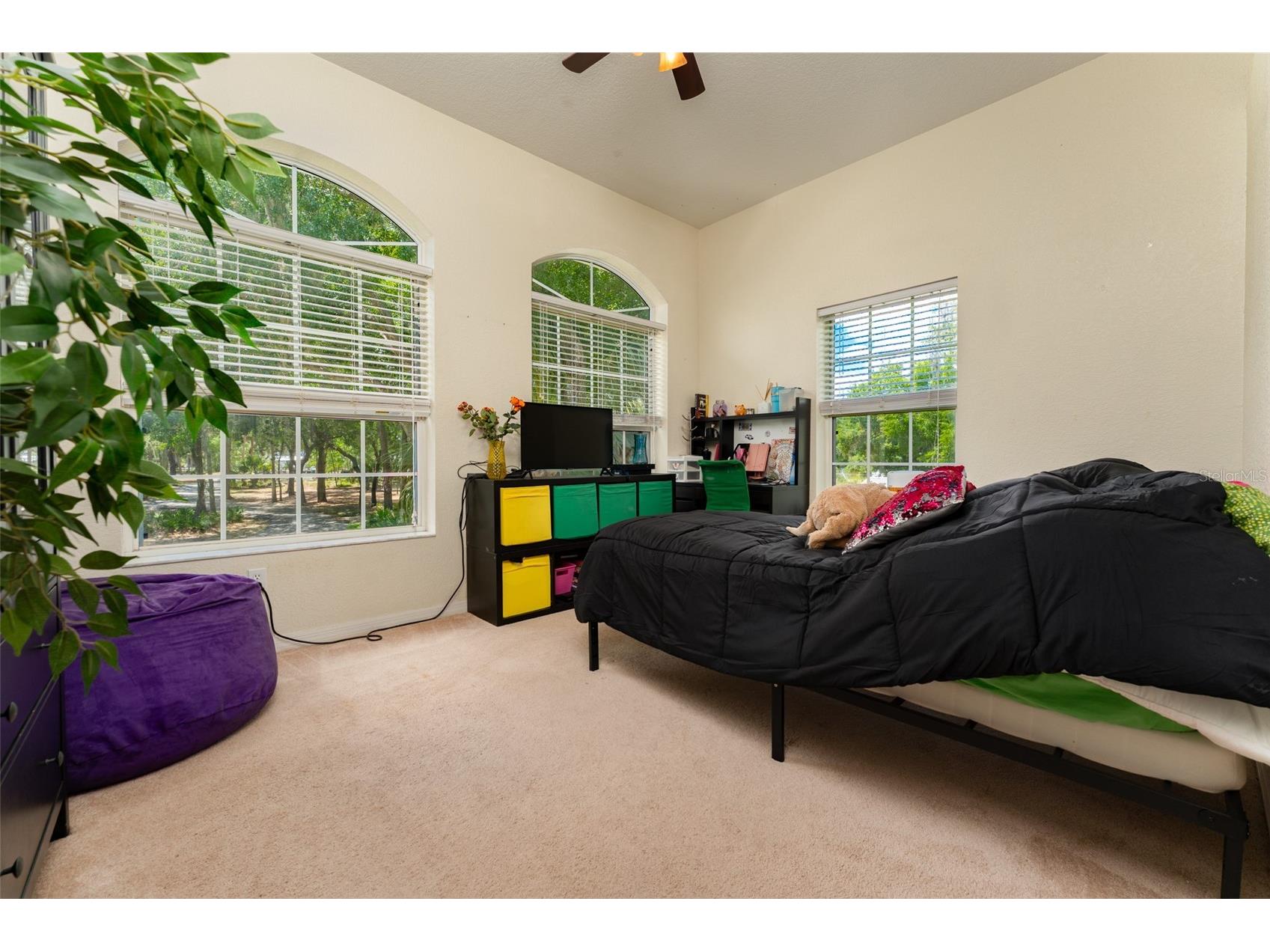 8214 Revels Road Riverview FL 33569 - ALAFIA RIVER TB8497945 image29