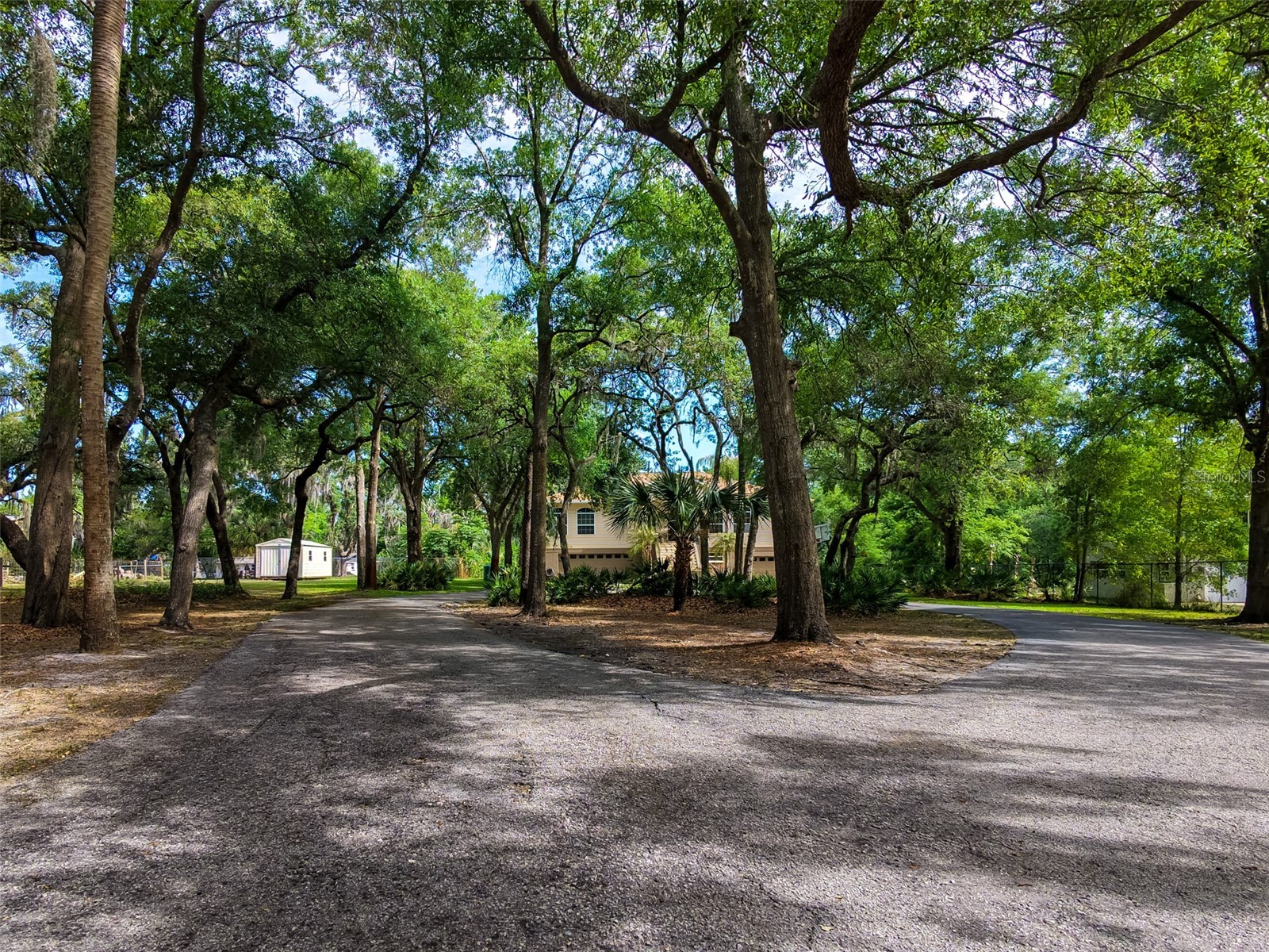 8214 Revels Road Riverview FL 33569 - ALAFIA RIVER TB8497945 image52