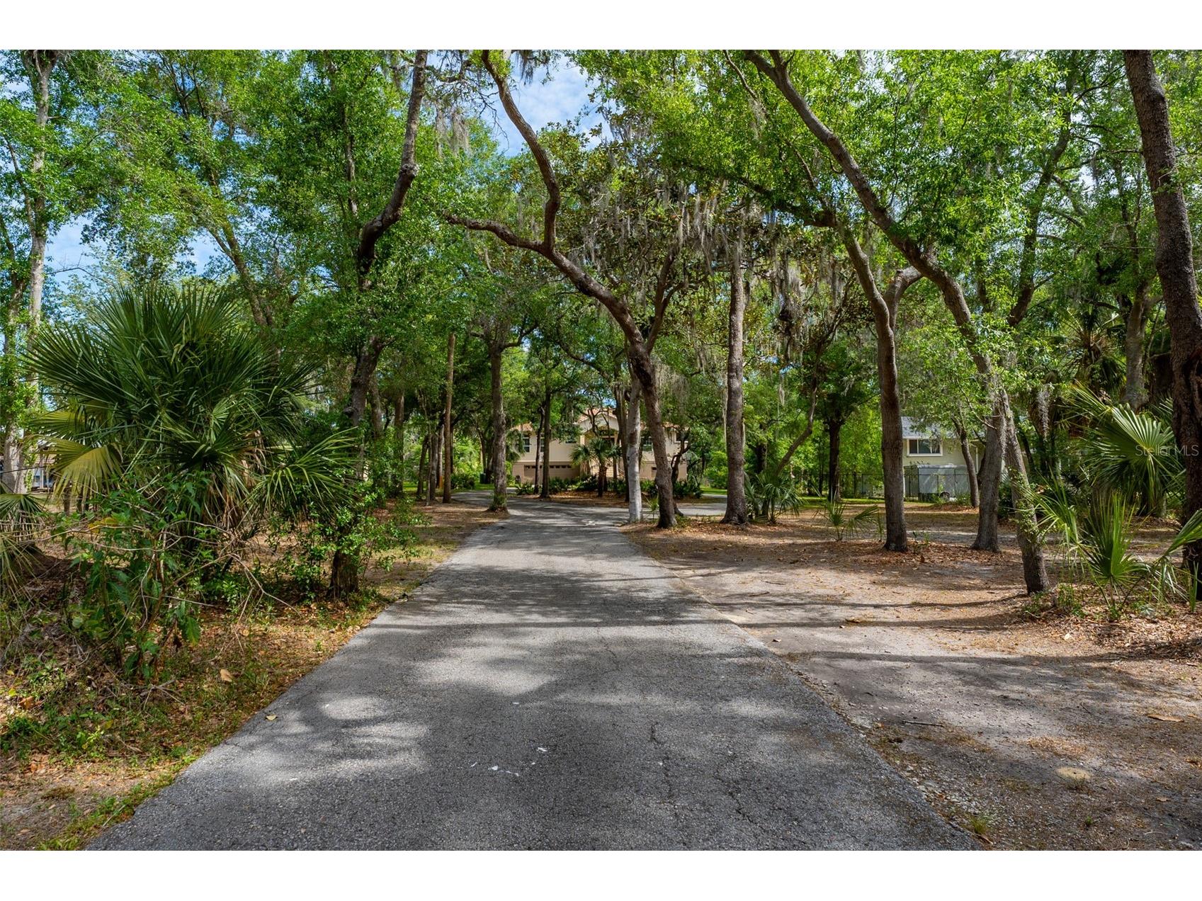 8214 Revels Road Riverview FL 33569 - ALAFIA RIVER TB8497945 image54