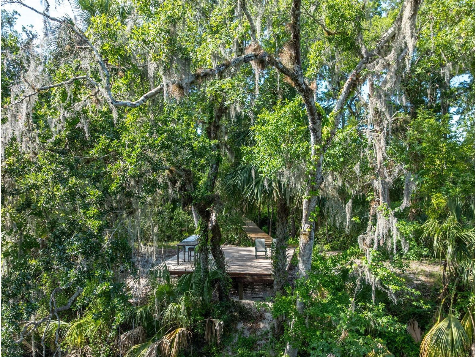 8214 Revels Road Riverview FL 33569 - ALAFIA RIVER TB8497945 image65