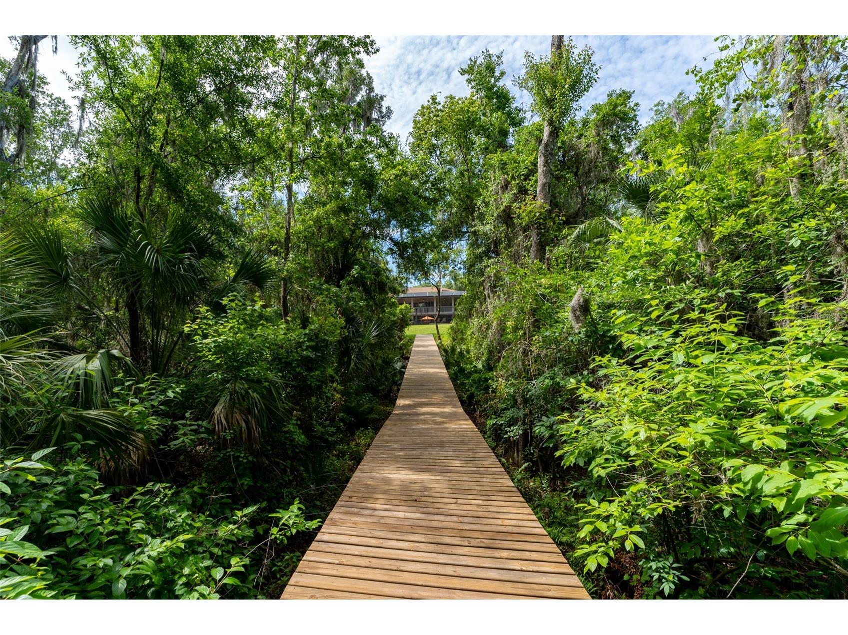 8214 Revels Road Riverview FL 33569 - ALAFIA RIVER TB8497945 image7