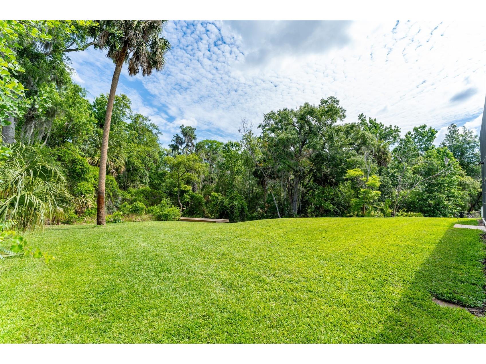 8214 Revels Road Riverview FL 33569 - ALAFIA RIVER TB8497945 image79
