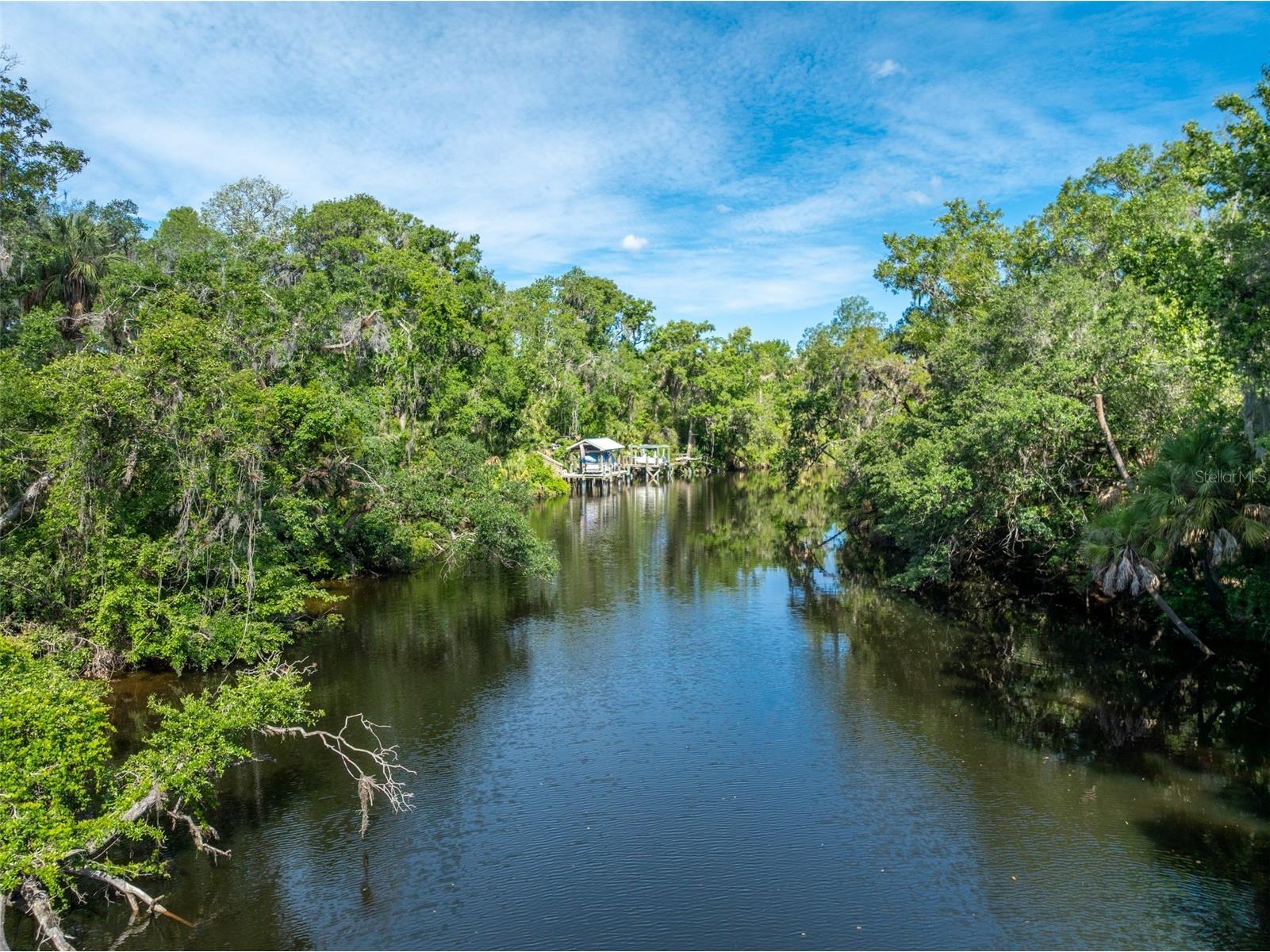 8214 Revels Road Riverview FL 33569 - ALAFIA RIVER TB8497945 image8