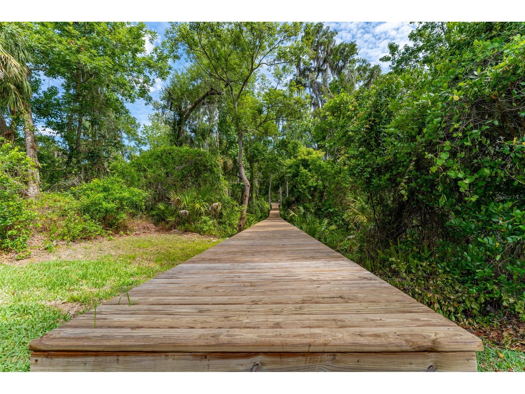 8214 Revels Road Riverview FL 33569 - ALAFIA RIVER TB8497945 image81