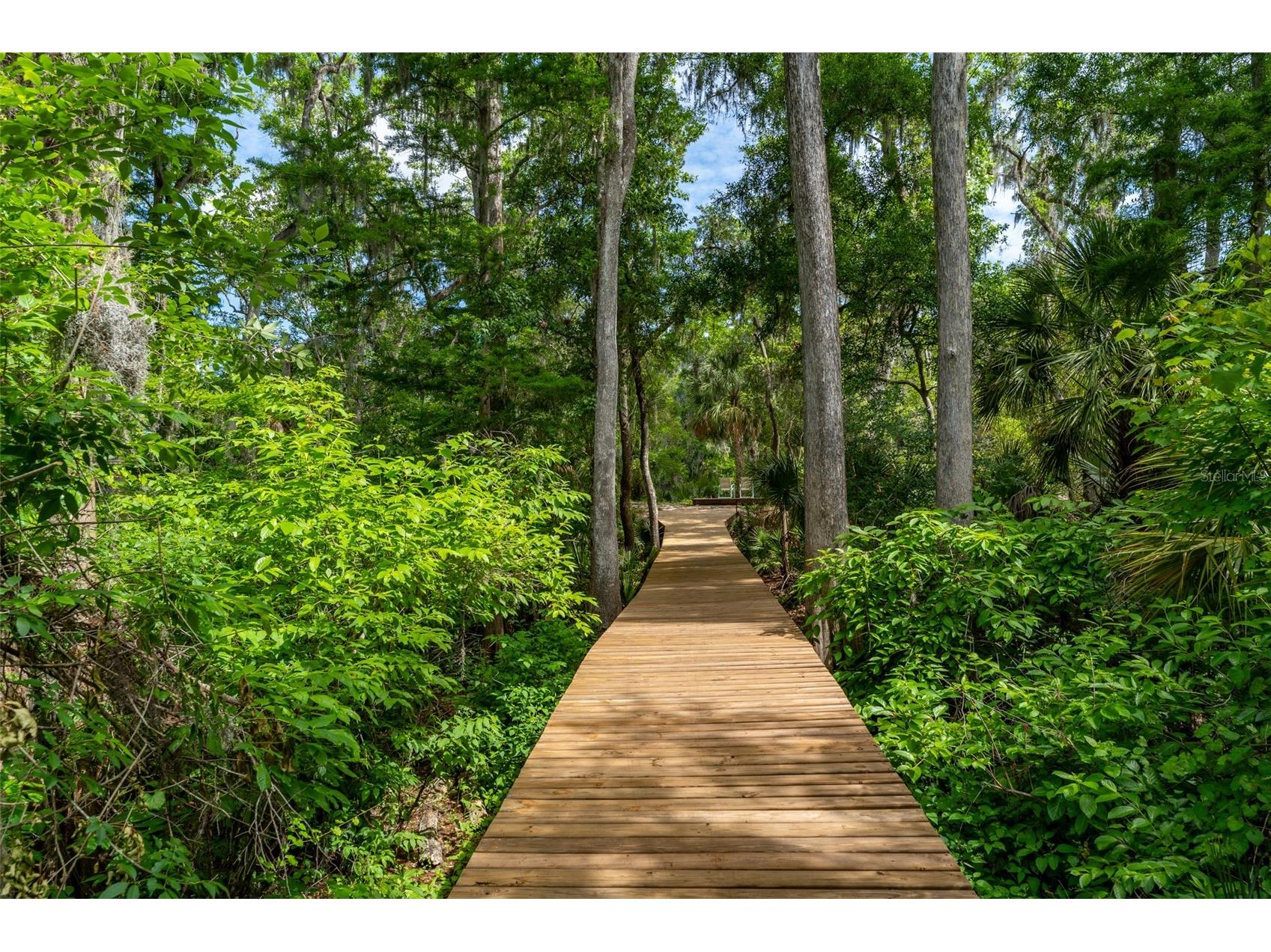 8214 Revels Road Riverview FL 33569 - ALAFIA RIVER TB8497945 image82
