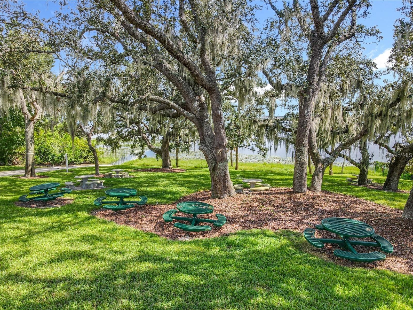 8214 Rolla Court Orlando FL 32836 - Little Sand Lake O6370750 image54