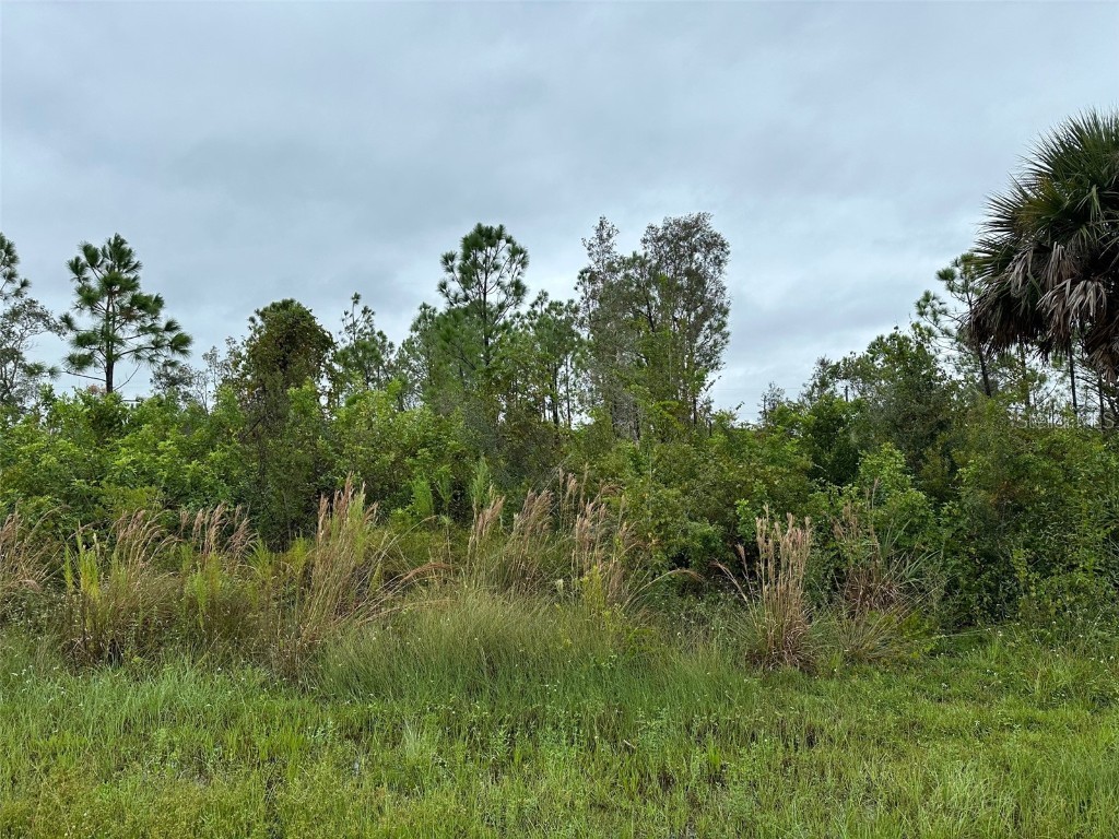 8215 Dittmar Street Port Charlotte FL 33981 TB8345918 image2