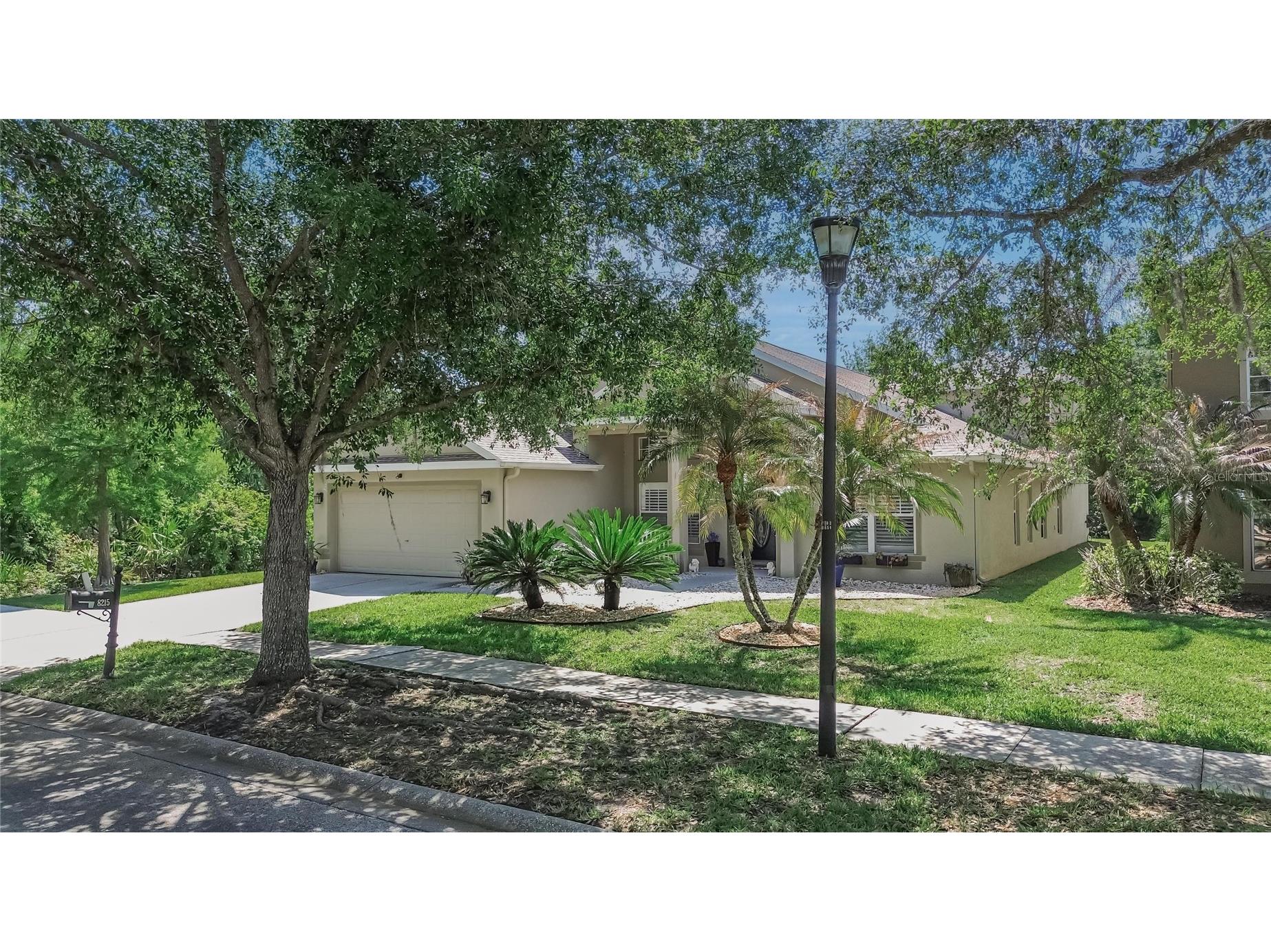 8215 Myrtle Point Way Tampa FL 33647 TB8499377 image41