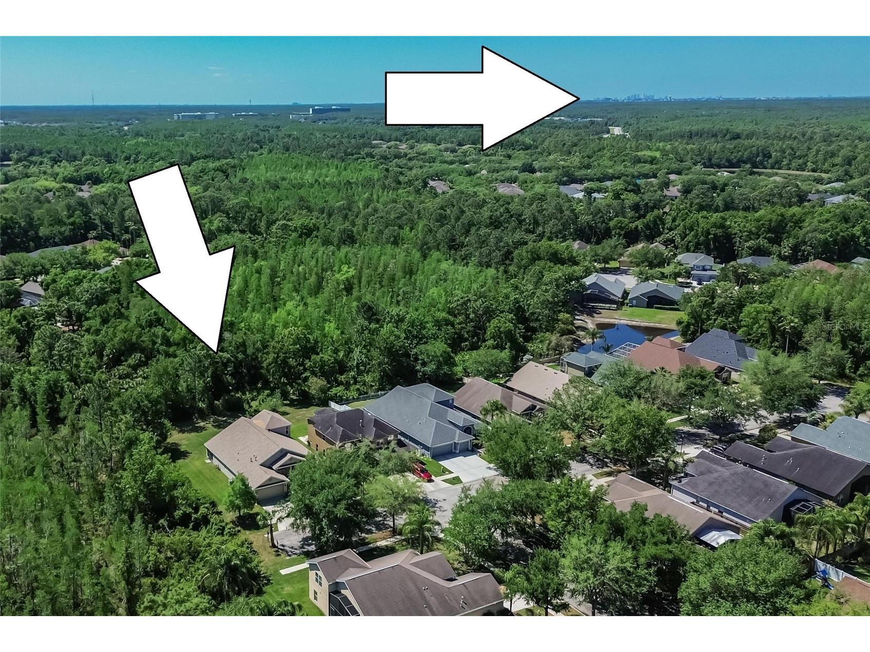 8215 Myrtle Point Way Tampa FL 33647 TB8499377 image44