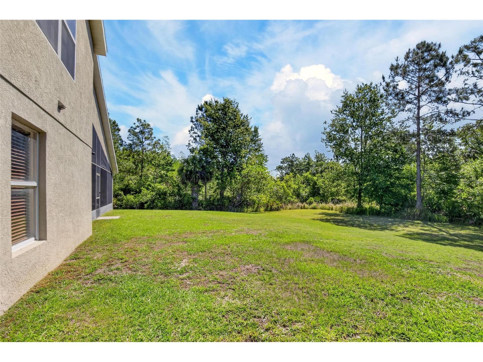 8215 Myrtle Point Way Tampa FL 33647 TB8499377 image5