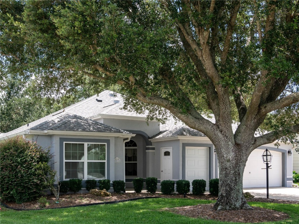 8215 SE 171st Mcalpin Street The Villages FL 32162 G5099038 image1