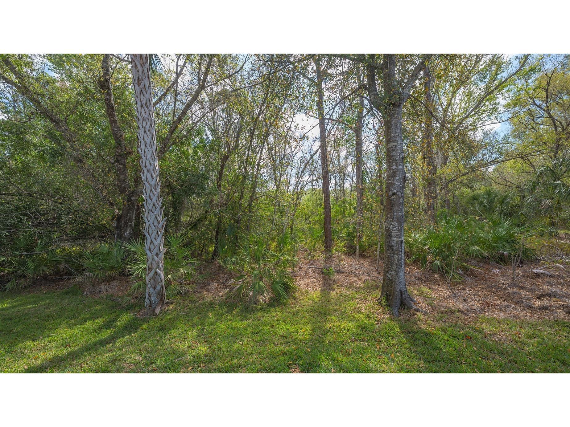 8215 Waterview Boulevard Lakewood Ranch FL 34202 A4684289 image46