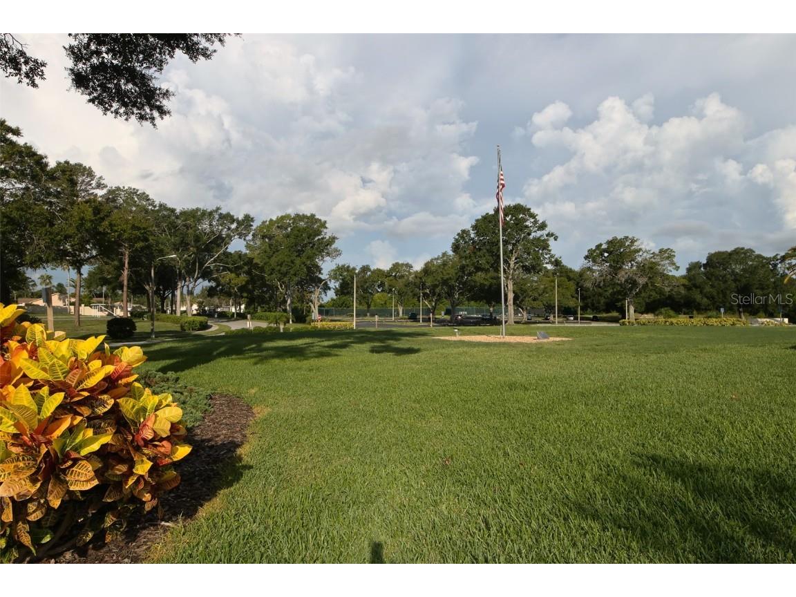 8216 Coral Creek Loop Hudson FL 34667 W7880501 image48