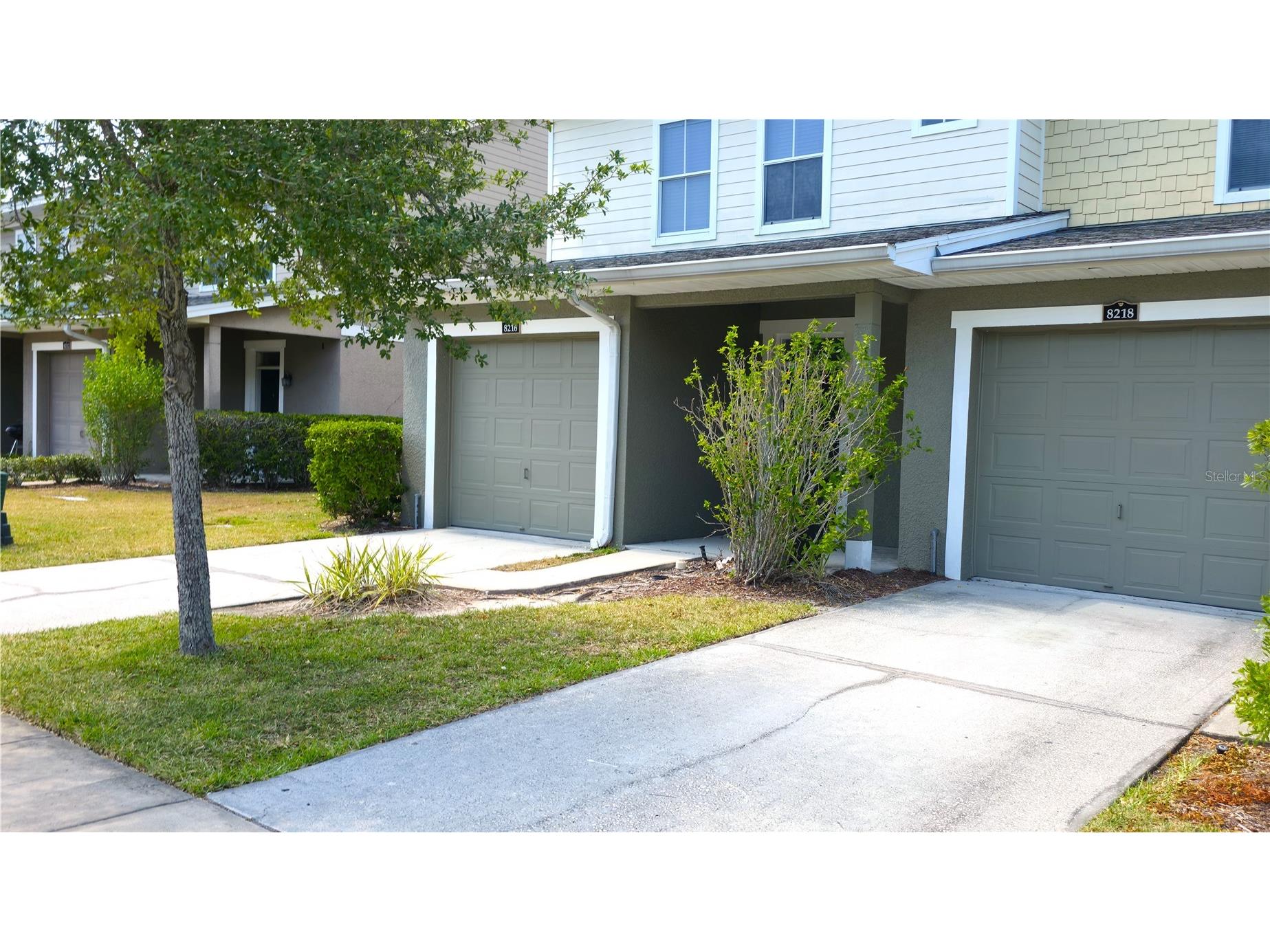 8216 Downpatrick Court Tampa FL 33610 TB8504482 image1