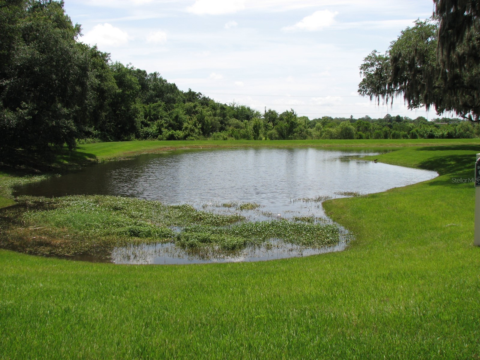 8216 Downpatrick Court Tampa FL 33610 TB8504482 image33
