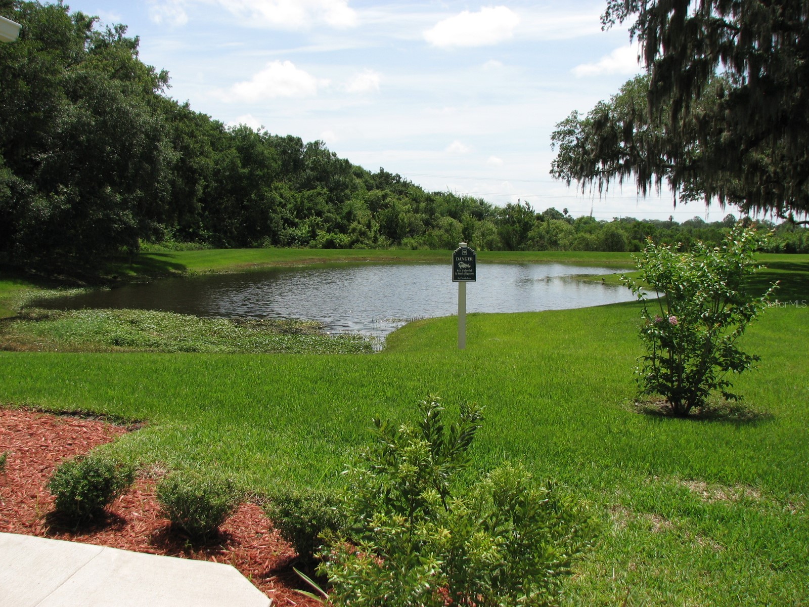 8216 Downpatrick Court Tampa FL 33610 TB8504482 image35