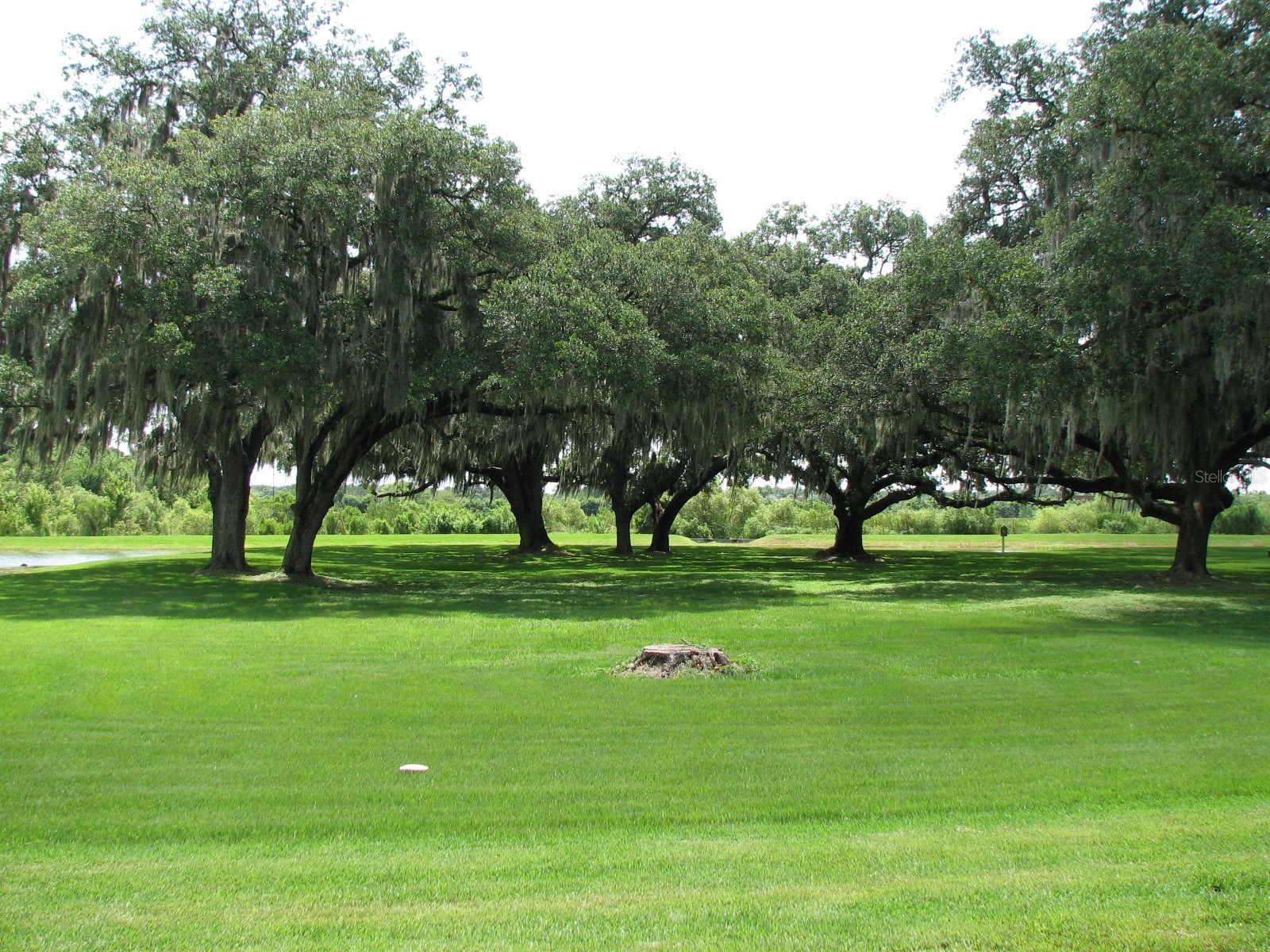 8216 Downpatrick Court Tampa FL 33610 TB8504482 image37