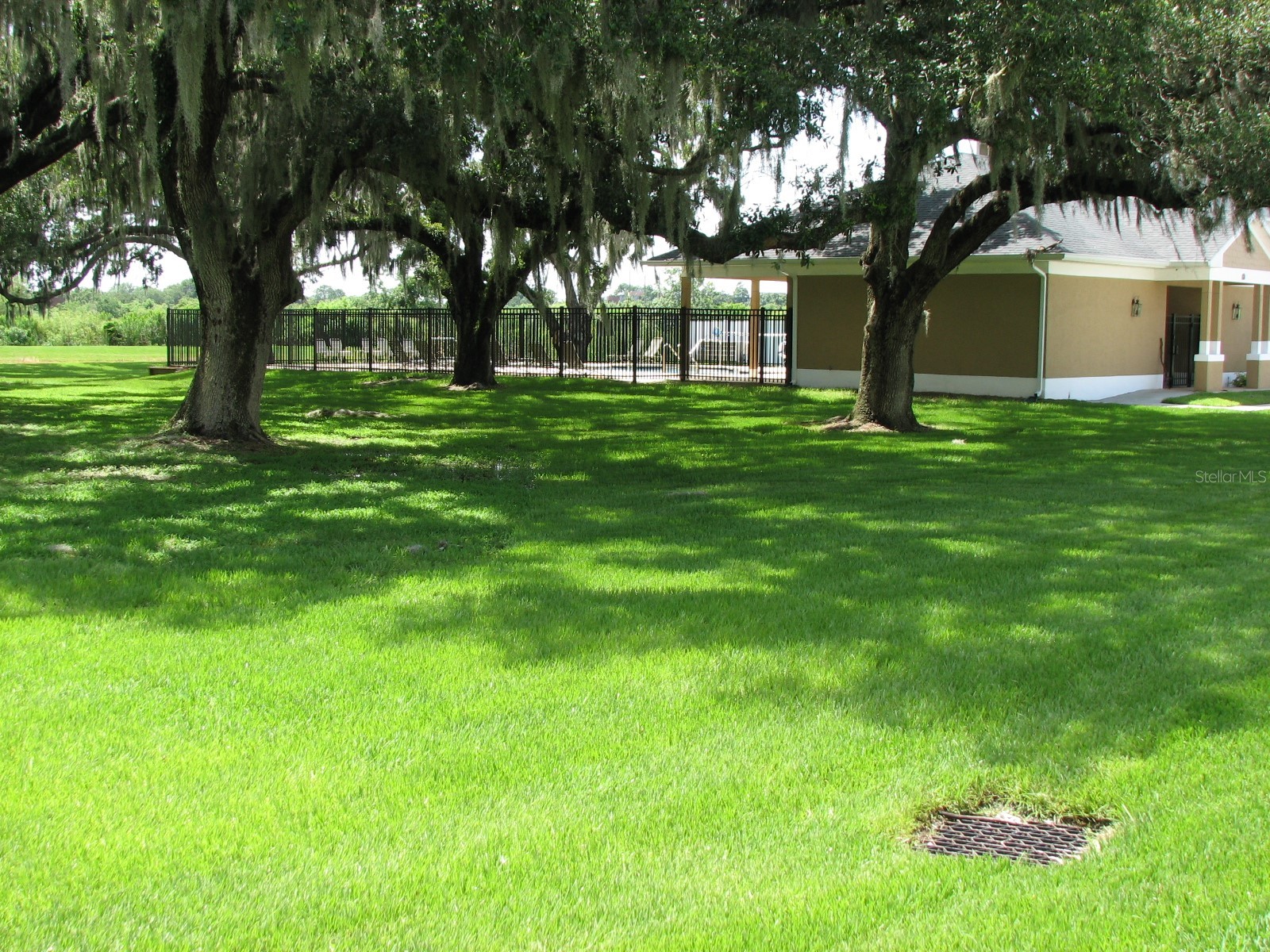 8216 Downpatrick Court Tampa FL 33610 TB8504482 image38