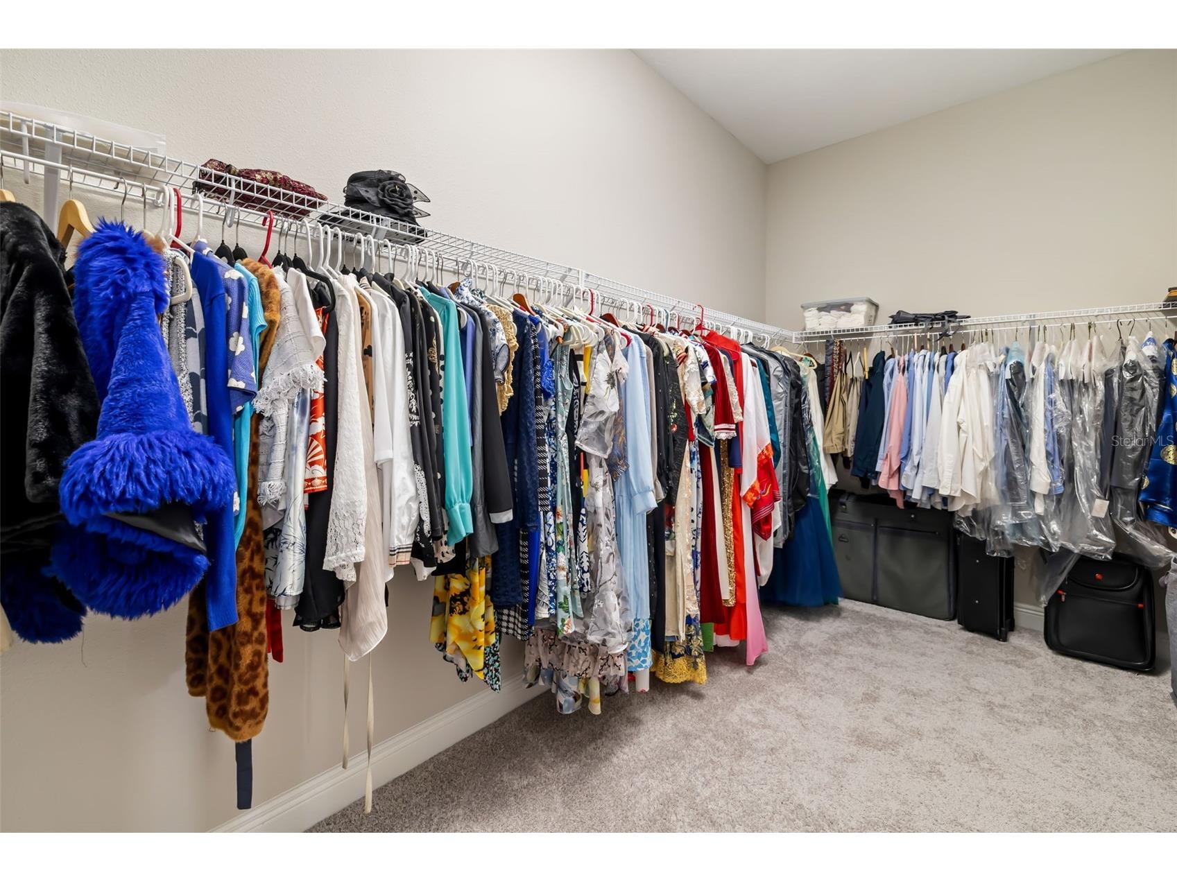 8217 Liebton Place Parrish FL 34219 A4684107 image54