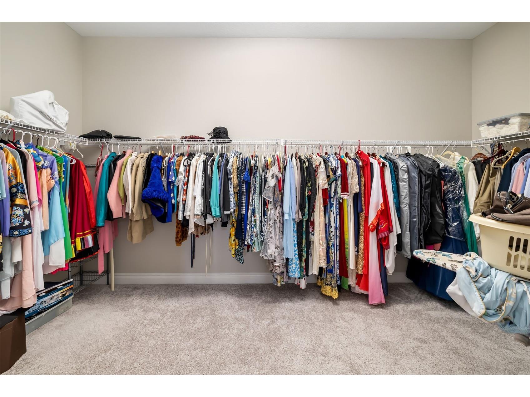 8217 Liebton Place Parrish FL 34219 A4684107 image55