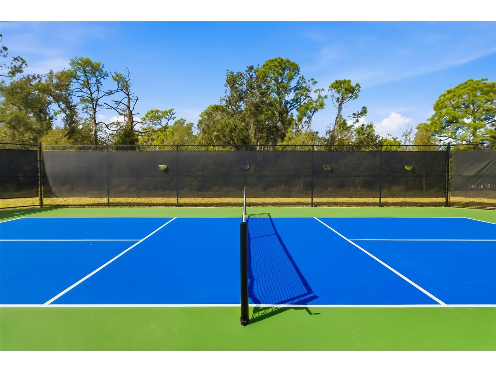 8217 Liebton Place Parrish FL 34219 A4684107 image64