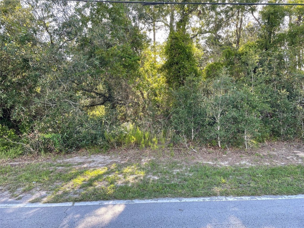 8217 Nightingale Road Weeki Wachee FL 34613 W7877267 image1
