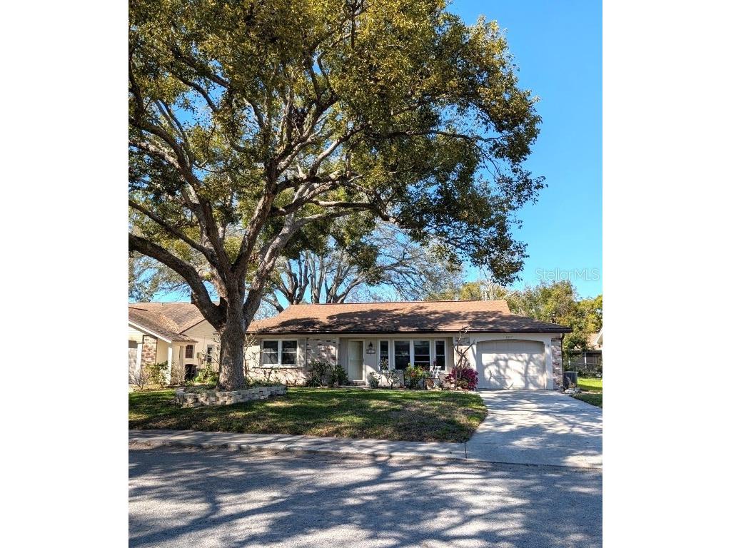 8217 Split Rail Lane Hudson FL 34667 A4642741 image1