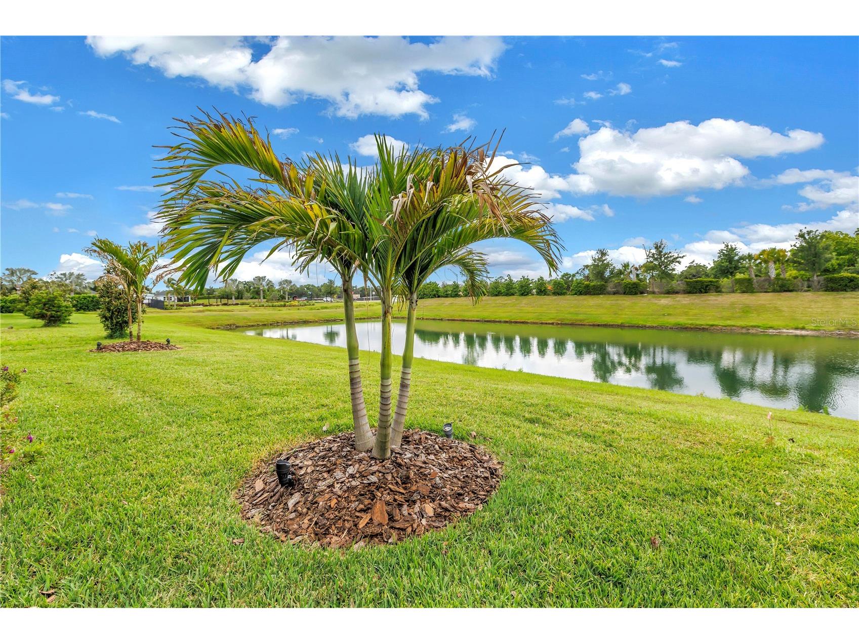8217 Trimbelle Parrish FL 34219 TB8501372 image49