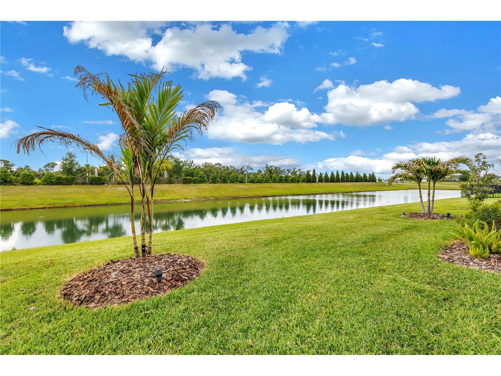 8217 Trimbelle Parrish FL 34219 TB8501372 image50