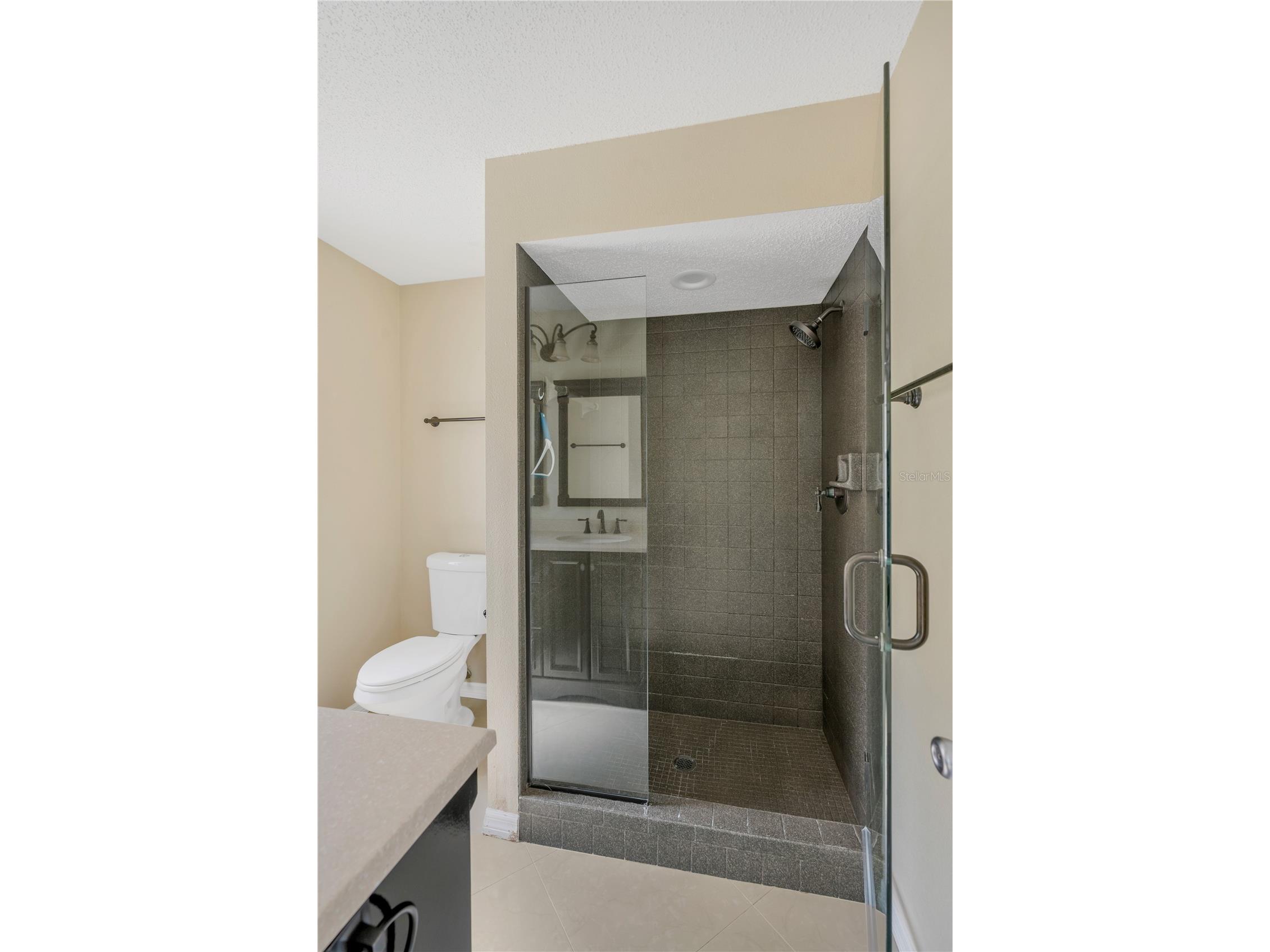 8218 Placid Street Spring Hill FL 34606 TB8507224 image20