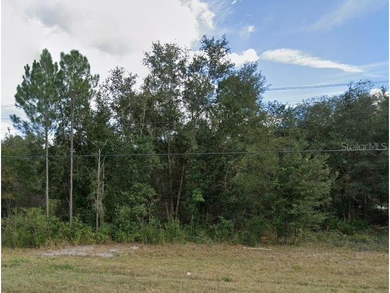 8218 Treiman Boulevard Webster FL 33597 J973199 image1